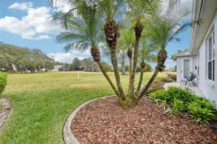 8013 Pine Hollow Dr, Mount Dora, FL 32757 - Photo 20