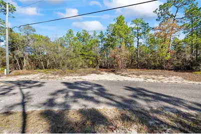 8941 N Farrington Drive, Citrus Springs, FL 34433 - Photo 8