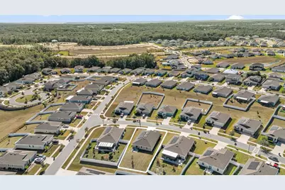 5317 Travertine Street, Mount Dora, FL 32757 - Photo 30