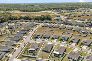 5317 Travertine St, Mount Dora, FL 32757 - Photo 30