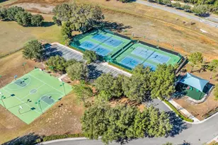 5317 Travertine St, Mount Dora, FL 32757 - Photo 34