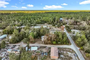 45797 Ohio St, Paisley, FL 32767 - Photo 16