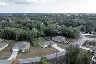 5 Malauka Radial Cir, Ocklawaha, FL 32179 - Photo 42