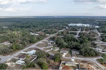 5 Malauka Radial Circle, Ocklawaha, FL 32179 - Photo 40