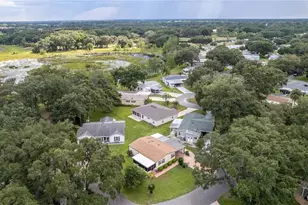 25527 Belle Helene, Leesburg, FL 34748 - Photo 28