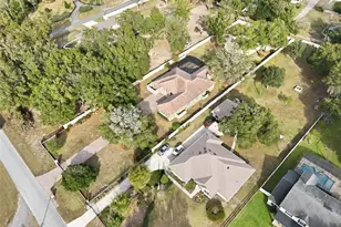 30248 Rainey Rd, Sorrento, FL 32776 - Photo 64