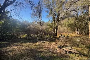 12512 Cr 685, Webster, FL 33597 - Photo 6