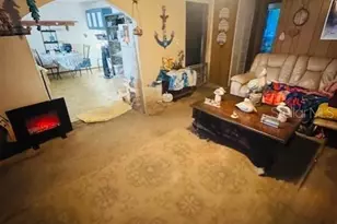 12512 Cr 685, Webster, FL 33597 - Photo 12