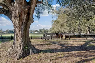 815 SE 145th St, Summerfield, FL 34491 - Photo 2