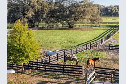815 SE 145th Street, Summerfield, FL 34491 - Photo 56