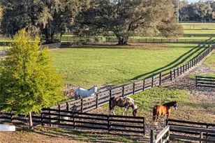 815 SE 145th St, Summerfield, FL 34491 - Photo 56