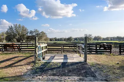 815 SE 145th Street, Summerfield, FL 34491 - Photo 8