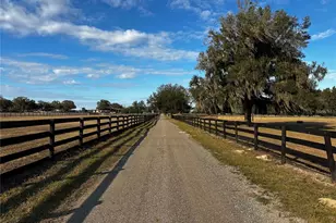 815 SE 145th St, Summerfield, FL 34491 - Photo 1