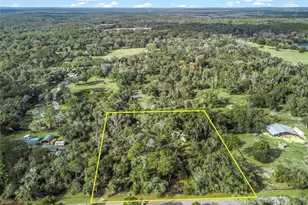 11398 Cr 682, Webster, FL 33597 - Photo 2