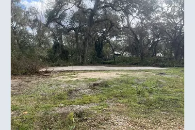 11459 Cr 678, Webster, FL 33597 - Photo 1