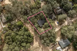 4438 Calamondin St, Lady Lake, FL 32159 - Photo 4