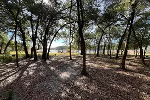 36338 W Spring Lake Blvd, Fruitland Park, FL 34731 - Photo 4