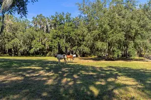 [Address not provided], Okahumpka, FL 34762 - Photo 80