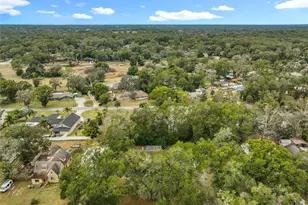 30845 Deal Dr, Sorrento, FL 32776 - Photo 68