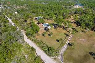 233 Azalea Ln, Osteen, FL 32764 - Photo 66