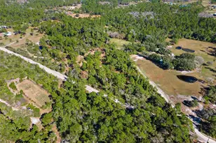 233 Azalea Ln, Osteen, FL 32764 - Photo 76