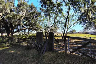 3537 E C 462, Wildwood, FL 34785 - Photo 30