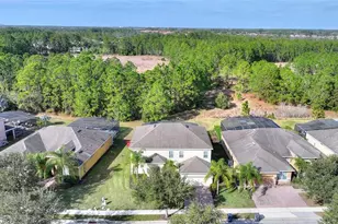 256 Yellow Snapdragon Dr, Davenport, FL 33837 - Photo 72