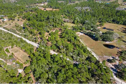 310 Fawn Trail, Osteen, FL 32764 - Photo 4