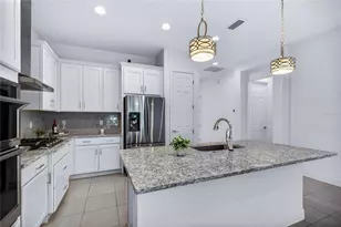 8677 Bridgeport Bay Cir, Mount Dora, FL 32757 - Photo 10