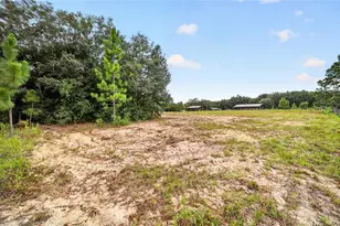 15355 SE 113th Street Rd, Ocklawaha, FL 32179 - Photo 56