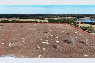 Hammock Grove Road, Groveland, FL 34736 - Photo 2