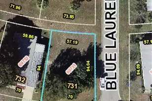 3907 Cohen Dr, Zellwood, FL 32798 - Photo 1