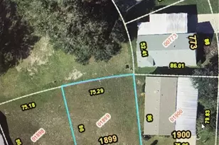 4105 Greenbluff Rd, Zellwood, FL 32798 - Photo 1