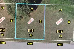 3955 Greenbluff Rd, Zellwood, FL 32798 - Photo 1