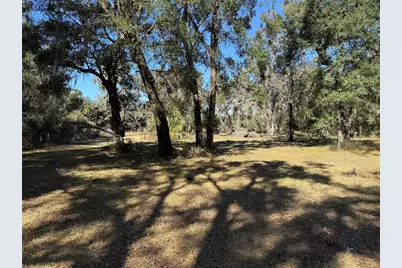 18630 Bradshaw Road, Dade City, FL 33523 - Photo 18