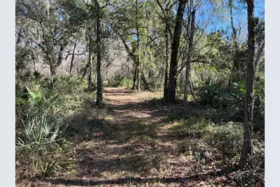 18630 Bradshaw Road, Dade City, FL 33523 - Photo 32