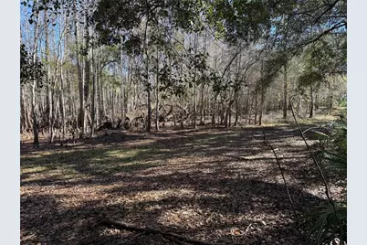 18630 Bradshaw Road, Dade City, FL 33523 - Photo 34