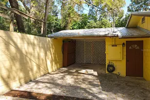 1617 Lake Nettie Ct, Eustis, FL 32726 - Photo 50