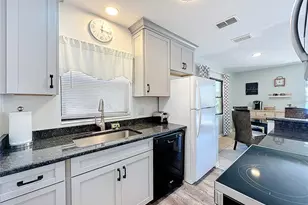 1617 Lake Nettie Ct, Eustis, FL 32726 - Photo 22