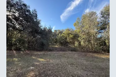 Harris Lake Road, Lady Lake, FL 32159 - Photo 1