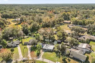 8150 Spring Dr, Yalaha, FL 34797 - Photo 32