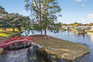 705 Falcon Dr, Tavares, FL 32778 - Photo 30