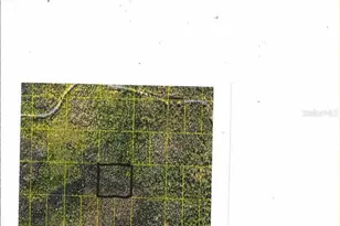 Salyers Rd, Clermont, FL 34711 - Photo 1