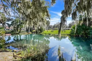 17 E Live Oak Ave, Yalaha, FL 34797 - Photo 46