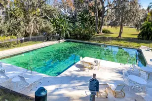 17 E Live Oak Ave, Yalaha, FL 34797 - Photo 36