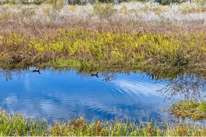 1127 White Water Bay Drive, Groveland, FL 34736 - Photo 48