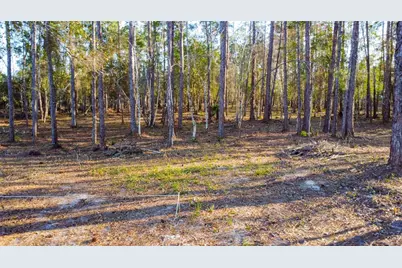 0 State Road 33, Clermont, FL 34714 - Photo 4