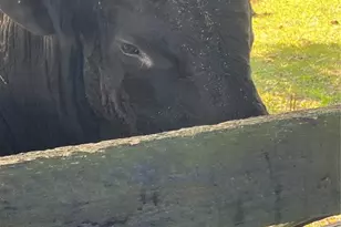 17457 SE 76th Flintlock Terrace, The Villages, FL 32162 - Photo 78