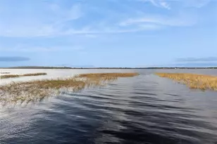 16038 Johns Lake Overlook Dr, Winter Garden, FL 34787 - Photo 70