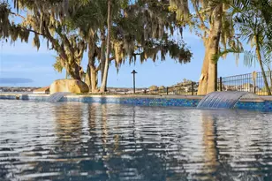 16038 Johns Lake Overlook Dr, Winter Garden, FL 34787 - Photo 68